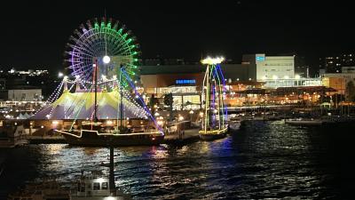 クイーンエリザベス・最終寄港地・清水市