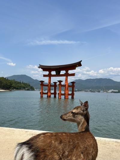 2025年5月　広島