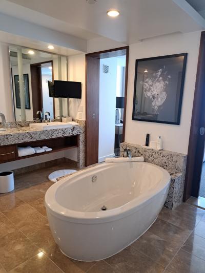 ラスベガス20回目　シルク観劇　ウォールマート　カジノ　ダウンタウン