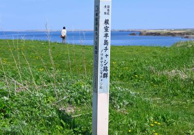 根室半島とチャシ跡群