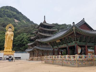 209回目訪韓(2025/5/21水~24土)④/⑤大田~俗離山法住寺