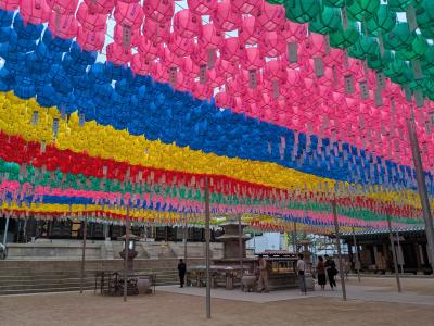 209回目訪韓(2025/5/21水~24土)⑤/⑤ソウル