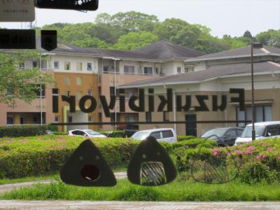 一人ぶらぶら おおむたグルメ旅 2023年11月~2024年7月