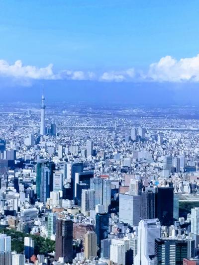 シンガポールトランジット