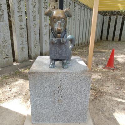 四国初上陸★うどんを食べて金毘羅さんへ行く王道の初心者旅行 その2