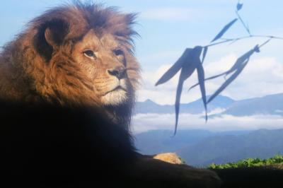 １ヶ月ぶりの茶臼山動物園再訪2025年５月（３）新緑の園内いろいろ＆ハイライト：雨のち晴れの土曜と晴れると夏日で茶臼山の乾空気に救われた日曜