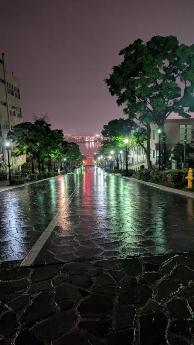 久々の函館は・・・