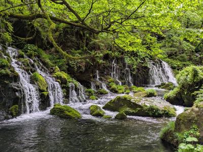 トク旅マイルで庄内・秋田♪従妹のお見舞いを兼ねて〈象潟で〉