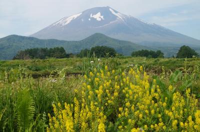 2025年 北東北旅行記１：イーハトーブ＆ふるさとの山