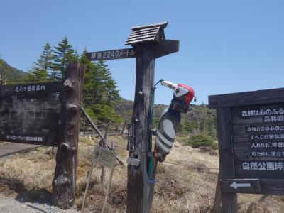 北八ヶ岳ロープウエイで坪庭自然園へ登る。風が強かった。