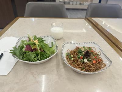 久しぶりにジャパンレールパスを使いたくさん乗り倒します