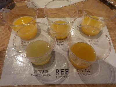 初めて愛媛県に行きました前半 羽田空港でプライオリティパスを使って、食事と足湯を楽しむ~1日目宿泊まで