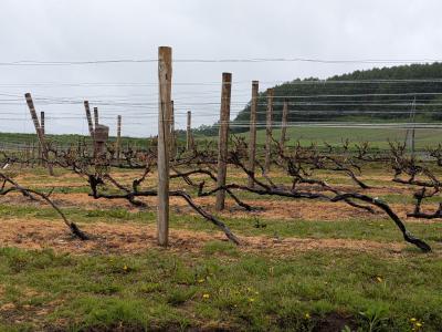 吹上温泉のついでに何処か観光しましょう(#^.^#)