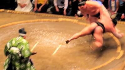 大相撲五月場所十二日目(令和７年）　　大の里　横綱昇進場所