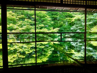 出張帰りにプチ京都観光～青もみじのリフレクション（反射）を見に瑠璃光院へ