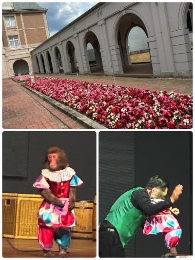 神戸フルーツフラワーパーク！モンキー劇場も！ひとり旅！