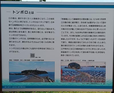 江の島トンボロに行ってみた
