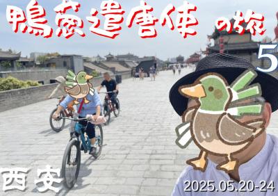 鴨葱遣唐使の旅　西安・洛陽　その５