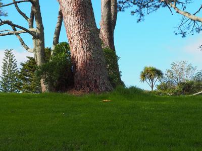 オークランド(NZ)~秋のバケーションを晴天と共に楽しんできました2~