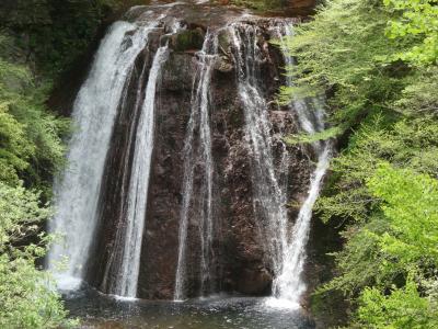 横谷渓谷の王滝をさがして山道を下り上る。ああ、しんどかった。