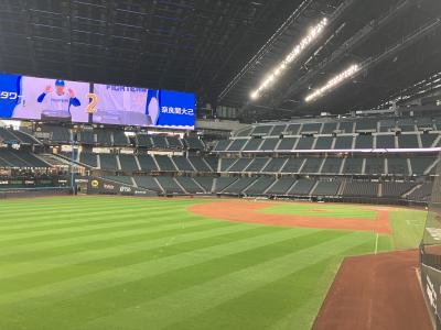 桜前線追い越し③