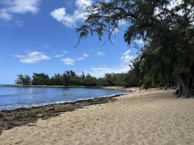 GWのワイキキ、のんびりと過ごす5泊の旅(1) 「初めてのノースショアへ」