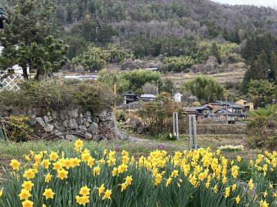春の長野*日帰りドライブ【平岡ダム・遠山郷土館 和田城・諏訪湖・しもすわ今昔館おいでや・駒ヶ岳SA】