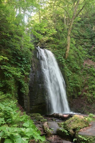 奥入瀬・青森旅行(奥入瀬渓流編)