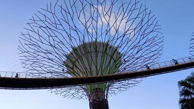 シンガポールの旅