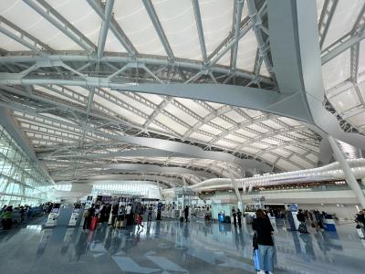 入札流れeSIMまた失敗、宿もハズして落ち込みながら初日はぶっ飛びスープ☆シンガポール留学の旅1