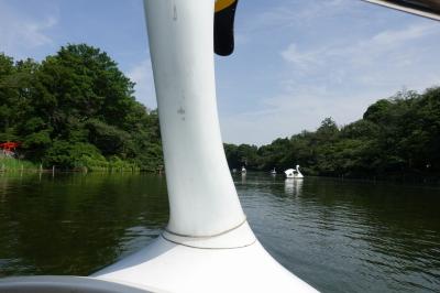 井の頭公園のボートで我が子に操縦される＆中央線グリーン車に課金！【親子で東京往復記2025年5月編その3】