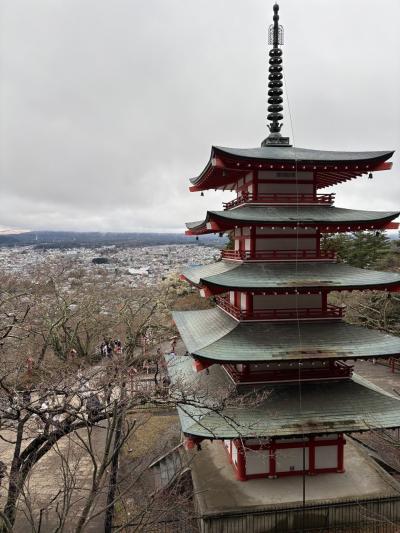 残念だった花見ツアー