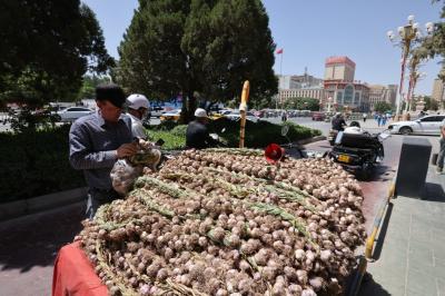 中国一人旅　上海・新疆ウイグル自治区・広州の旅　②