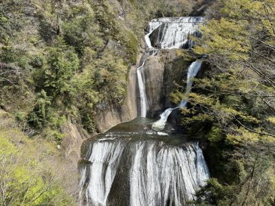 2025　日本4月編 桜後の日本列島、北から南へ電車と街歩きの旅　5