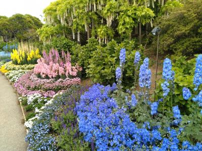 5月 お花満開巡りの栃木旅!(柏倉温泉 太子館)