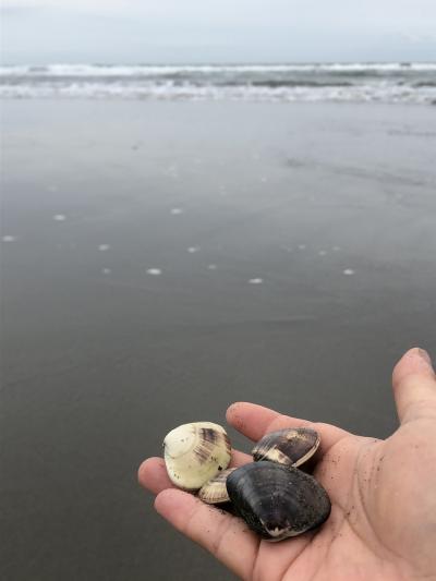 潮干狩り&ピアノコンサート