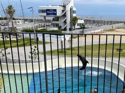 一周年！神戸須磨シーワールド＆ホテル