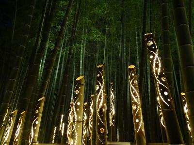 2025年 栃木出張 (6 days) =DAY 2=