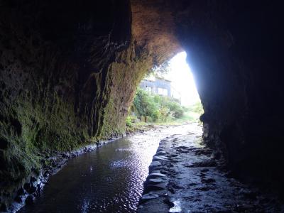 四国みぎした55フリーきっぷで乗り歩き その4 神秘的な伊尾木洞