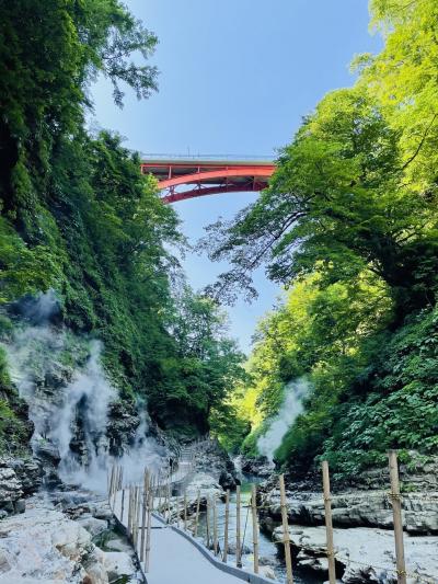 新緑に包まれて縦横無尽に走り回ったリベンジ秋田発見の旅　男鹿半島＆角館＆乳頭温泉＆横手＆子安峡温泉＆道の駅いろいろ