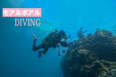 モアルボアル・ダイビング（10年振り2度目）旅行②　モアルボアル・ステイとダイビング2日目。