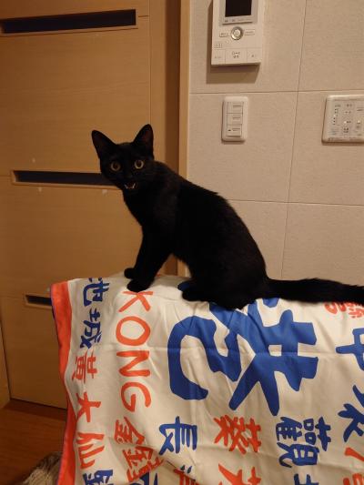 2025年5月旅 買物 いただき物