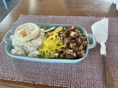 ソロトラベラー(フィリピン セブ島)♯520