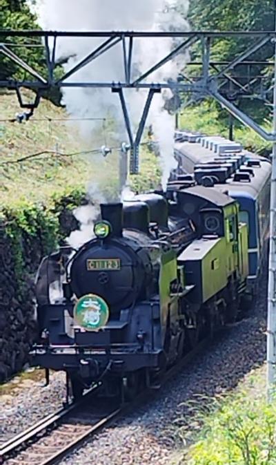 鬼怒川温泉とSL大樹