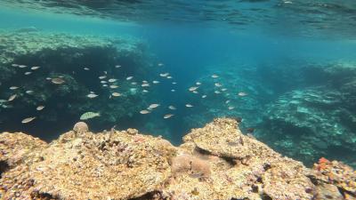 クラブメッド石垣島 ひとり旅 1週間 5月