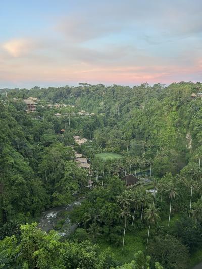 2025年5月バリ島ウブドへの旅④ 朝ヨガと満腹ごはん、ハノイ経由で帰国