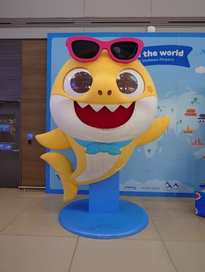 痛恨の大失敗!安物買いの銭失い ( *_* )1