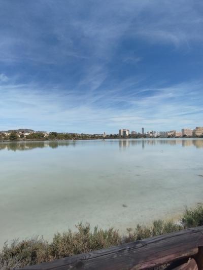 スペイン・カルペ観光3 カルペの朝市とバザールとカルペ塩原(日本からブルガリアへ30)