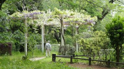 “早春”の次の“春本番”でも宝探しをしてみたら、意外な収穫