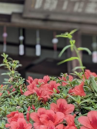 《2025.June》あみんちゅ風鈴の音色を奏でる旅京都そのⅠ~松尾大社編~